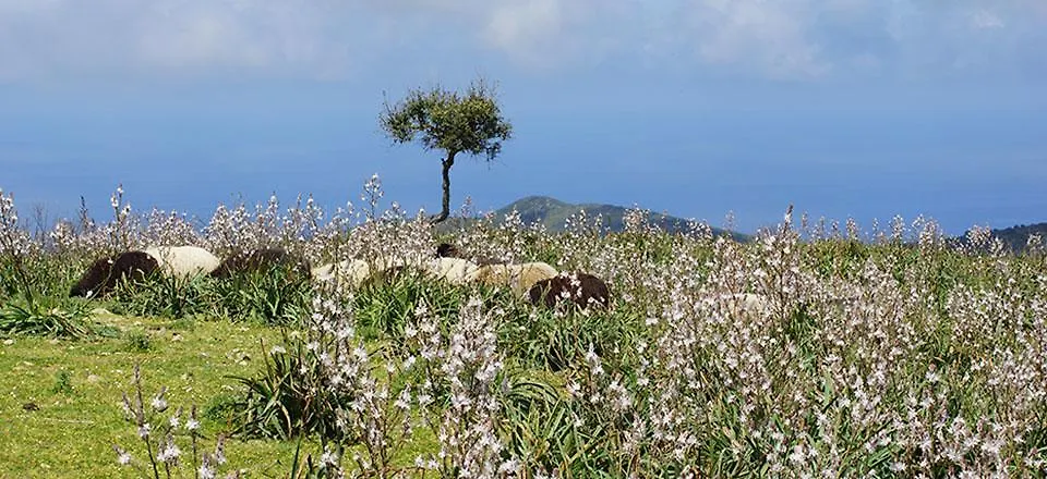 סארוק Agriturismo Santa Barbara בית חווה
