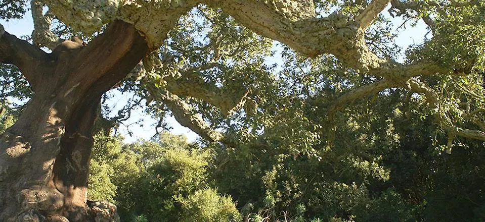 Agriturismo Santa Barbara Sarroch Italia